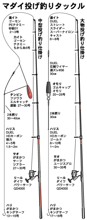 マダイ(投げ釣り） | 爆釣相談室